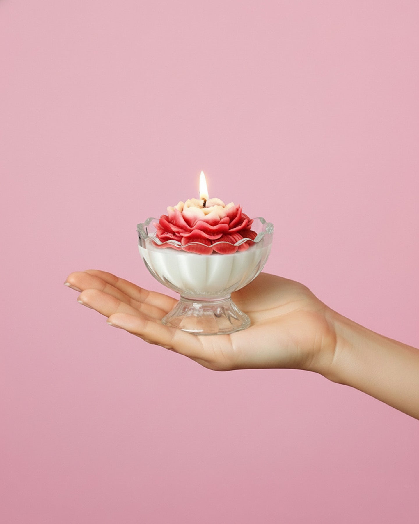 Velvet Rose | Flower Pot Candle